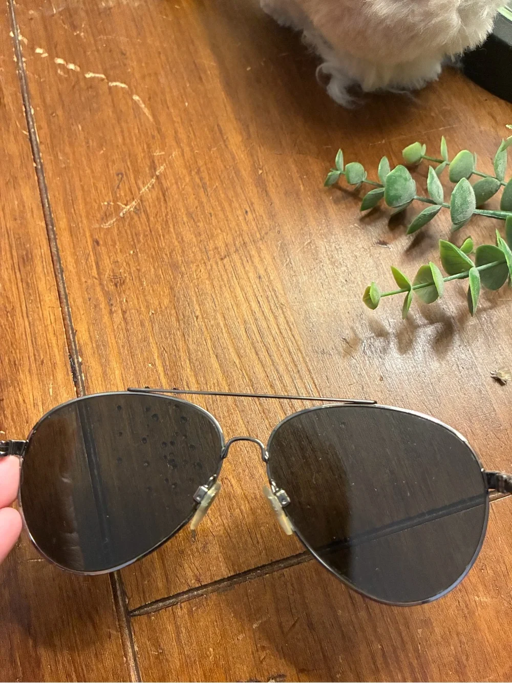 Burberry aviator sunglasses